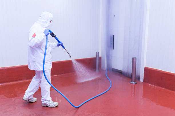 Best Rust Removal  in Security Widefield, CO